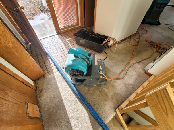 Best Local water damage restoration  in USA